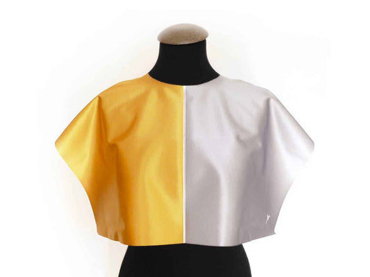 Colour Analysis Cape Harlequin Gold-Silver